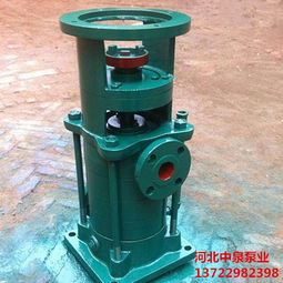 lgr立式多级泵吴川40lg12x7立式多级泵选型